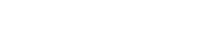 Singlec Software Holding